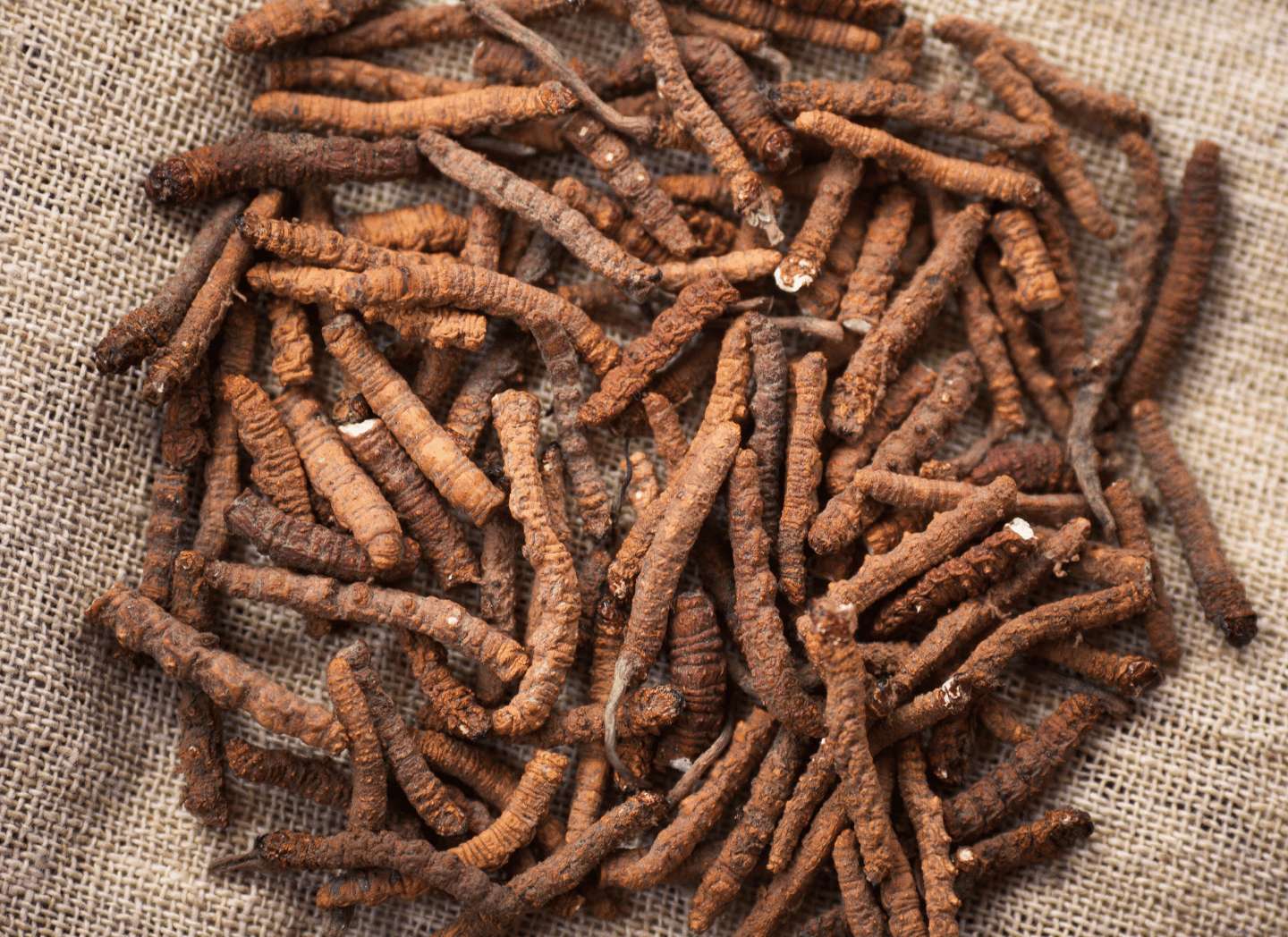 Amla Extract